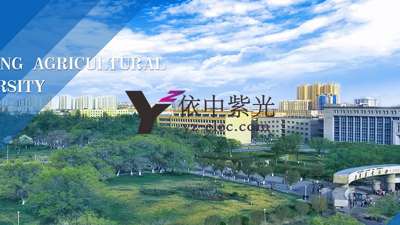 新疆农业大学